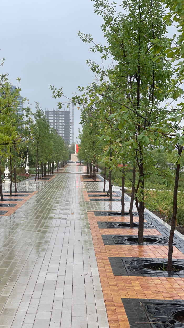 Приствольная решетка для дерева ZKING CRUST 1.2х1.2м Черная в Урае фото