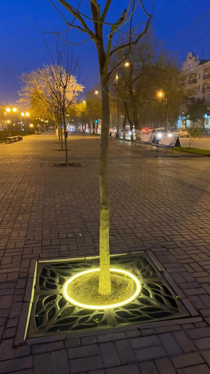 Приствольная решетка для дерева ZKING CRUST 1.2х1.2м Черная в Урае фото